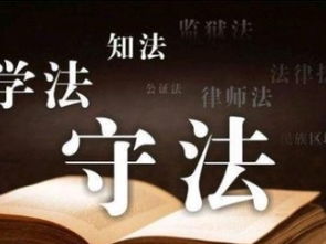深圳免費(fèi)法律咨詢(xún)指南 專(zhuān)業(yè)知識(shí)產(chǎn)權(quán)、商務(wù)糾紛與婚姻家庭關(guān)系解析